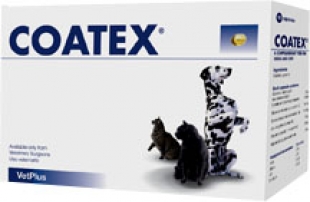 Coatex bőrtápláló kapszula macskák részére is állatgyógyszertár