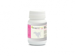 Biogenicpet Vitality Small 60 db tabletta állatgyógyszertár