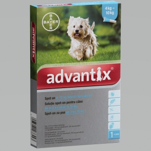 Advantix spot on kutyáknak 4-10kg között állatgyógyszertár