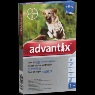Advantix spot on kutyáknak 25 kg felett állatgyógyszertár